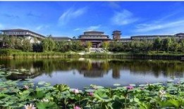 长春莲花山最新爆料,揭秘神秘古墓群背后的历史秘密